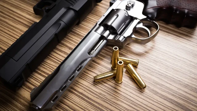 Pawn Shop and Gunsmith